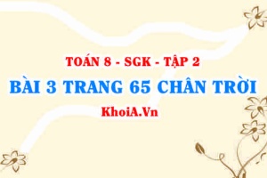 Bài 3 trang 65 Toán 8 Chân trời sáng tạo Tập 2